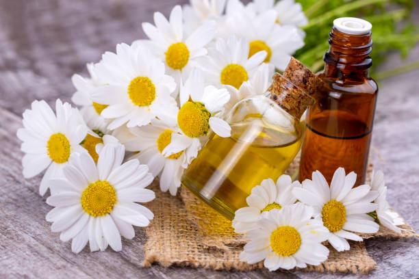 etherische olie in glazen fles met verse kamille bloemen, schoonheidsbehandeling. - essential oils smell stockfoto's en -beelden