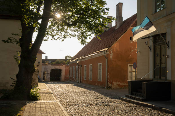 Estonian flag flying in Tallinn old town stock photo