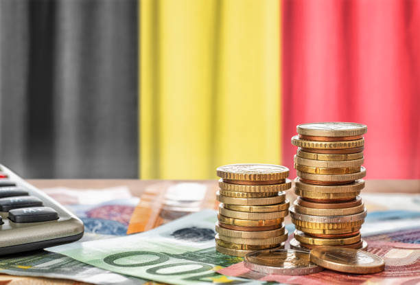 Euro banknotes and coins in front of the national flag of Belgium stock photo