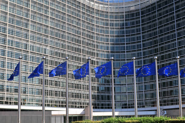 European flags in front of the Berlaymont building headquarters of the European commission in Brussels. stock photo