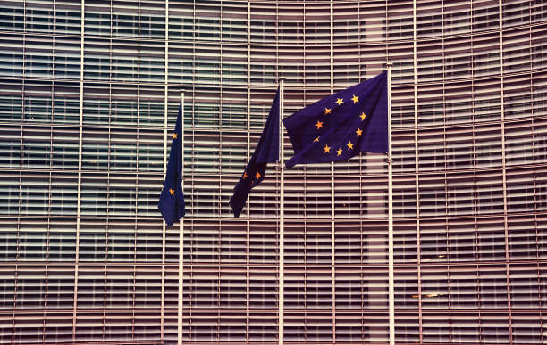 europeiska unionens flagga - val sverige bildbanksfoton och bilder