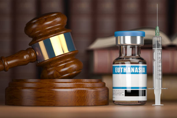 Euthanasia concept. Gavel as a symbol of legal system vith vial and syringe. stock photo