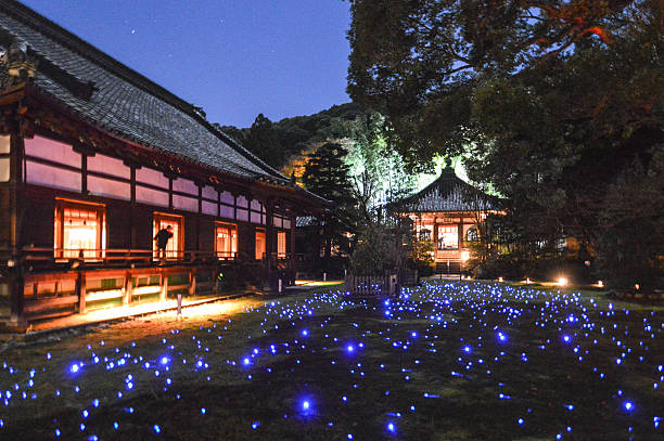 夜には照明で shoren の寺院、日本、京都 - 京都寺夜 ストックフォトと画像