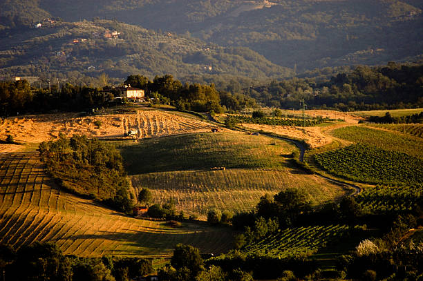 Evening landscape scenery in Tuscany stock photo