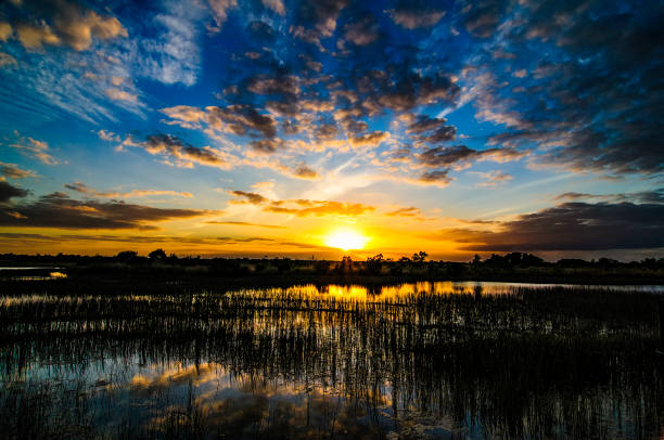 Everglade Sunset stock photo