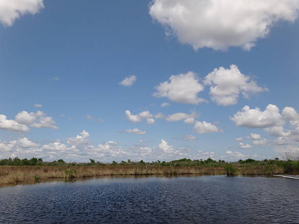 Everglades, Florida stock photo