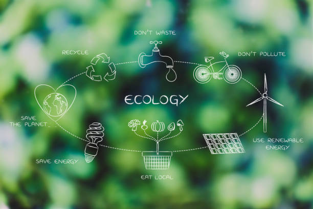 everyday ecology actions diagram stock photo