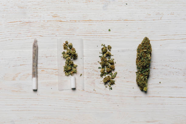 Evolution of weed Evolution of weed marijuana joint stock pictures, royalty-free photos & images