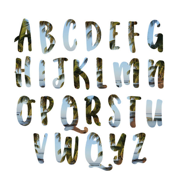 Exotic all alphabet letters ABC with palm trees at the beach stock photo