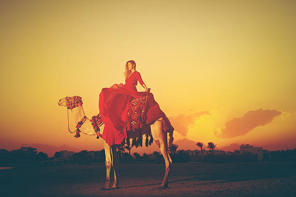 exotic camel ride at sunset profile view of fashion model riding camel in desert in the sunset time, arabian culture and lifestyle. hot middle eastern women stock pictures, royalty-free photos & images