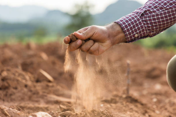 Expert hand of farmer checks quality of soil before sowing. The farmer tests soil the growth quality of seedling.Agriculture concept. stock photo