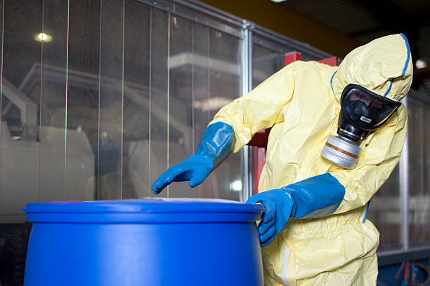 Experts disposing infested material stock photo