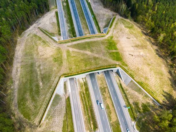 Expressway with ecoduct crossing - bridge over a motorway that allows wildlife to safely cross over the road, aerial top down view stock photo