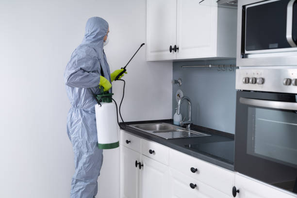 Exterminator In Spraying Pesticide In Kitchen Side View Of Exterminator In Workwear Spraying Pesticide In Kitchen. Pest Control rodent stock pictures, royalty-free photos & images