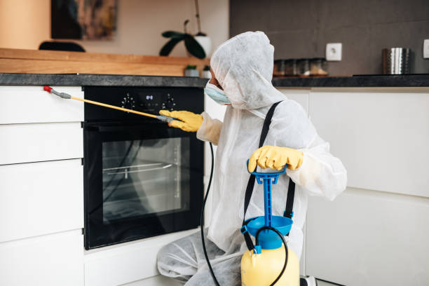 Exterminator working Professional exterminator in protective workwear spraying pesticide in apartment kitchen. pest control stock pictures, royalty-free photos & images
