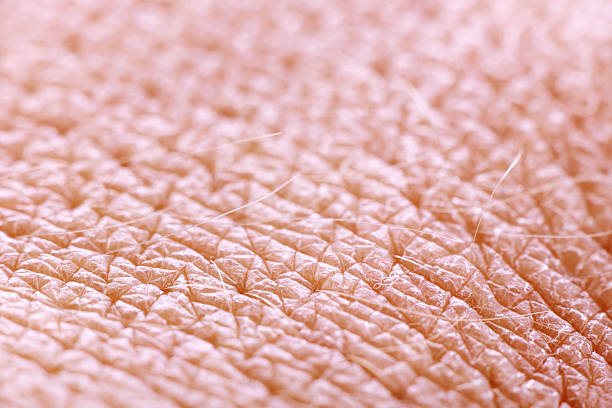 Extreme close up of human skin stock photo