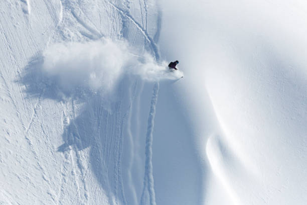Extreme skier freeriding in powder snow stock photo