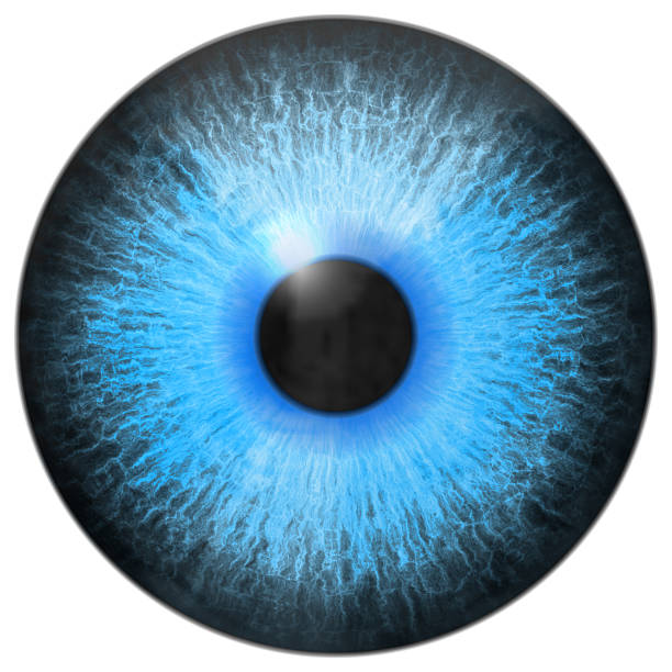 Dilated Eyes Stock Photos, Pictures & Royalty-Free Images - iStock