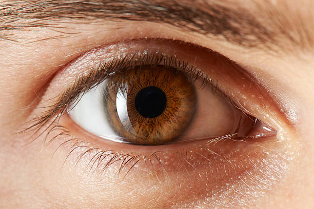 Eye Man eye. brown eyes stock pictures, royalty-free photos & images