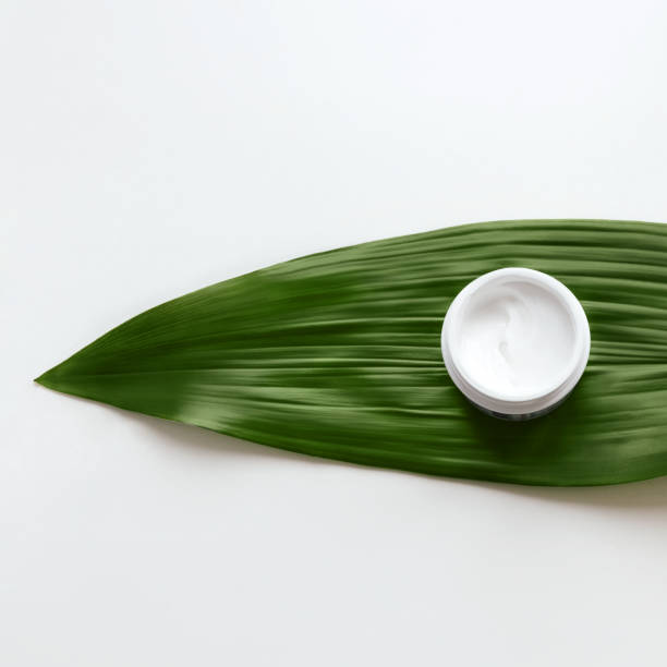Facial cream Flat lay photo White jar with skincare product on a white background with green decorative leaf Template for posters and banners jar photos stock pictures, royalty-free photos & images