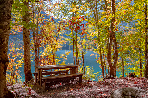 Wooden table and two benches where you can stay and listen to the silence of the lake, surrounded by magical colors of autumn