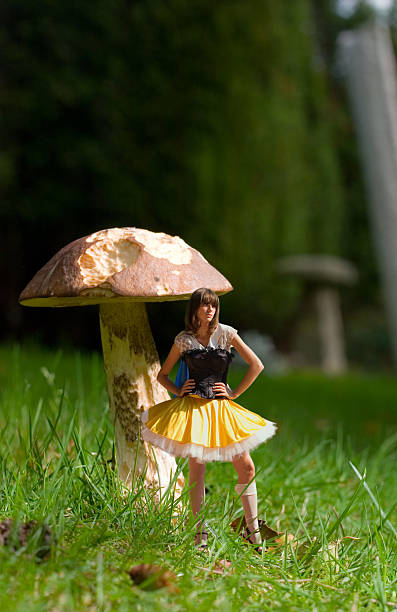 Fairy Woman Standing Beside Mushroom in Grass stock photo