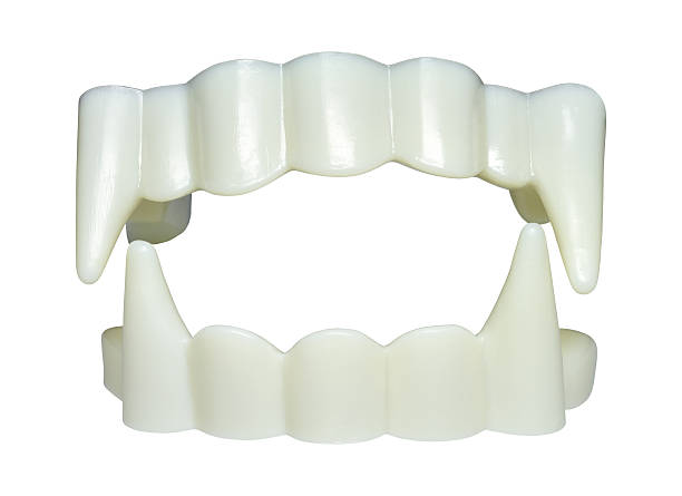 fake plastic vampire teeth for halloween - vampyr bildbanksfoton och bilder