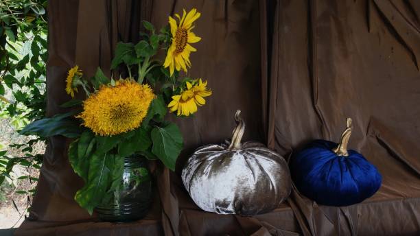 Fall arrangement with sewed stuffed velvet pumpkins and bouquet of sunflowers stock photo