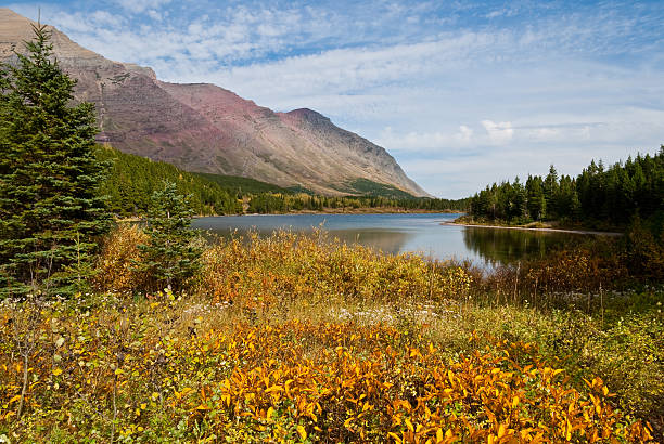 Fall Colors at Redrock Lake Fall comes early to the high country of Montana. While the plains are still baking in the heat of summer, the Continental Divide is taking on the hues of autumn. This scene of huckleberry bushes turning color was taken at Redrock Lake in Glacier National Park, Montana, USA. jeff goulden fall colors stock pictures, royalty-free photos & images
