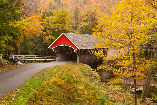 Fall Colors & Flume Bridge in Franconia State Park, New Hamshire This is the Flume Bridge crossing the Pemigewasset River in Franconia Notch State Park, New Hampshire , USA in early October. covered bridge stock pictures, royalty-free photos & images