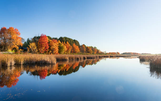 Fall colors in Ottawa, Canada stock photo