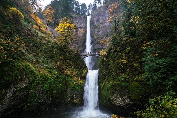 Fall Colors of Multnomah Falls Oregon's Multnomah Falls in the fall. At a height of 620 feet, this waterfall, located in the Columbia River Gorge, is the second highest in the United States. columbia river gorge stock pictures, royalty-free photos & images
