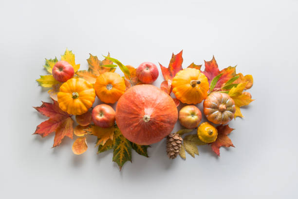 Fall decor for Thanksgiving Day with pumpkins, leaves, apples on grey. Thanksgiving Day. Fall decor of pumpkins, leaves, apples on grey. View from above. Centerpieces. centerpiece stock pictures, royalty-free photos & images