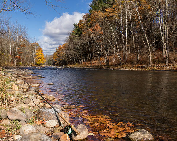 Fall fly fishing on the Farmington river stock photo