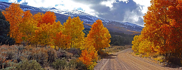 Fall Foliage at the Eastern Sierra Nevada Mountains in California stock photo