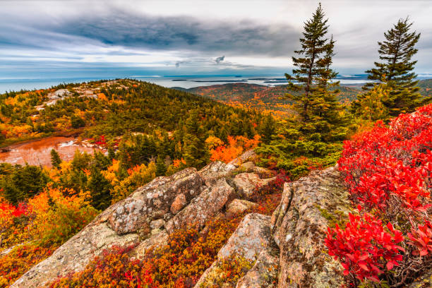 Fall Foliage atop Cadillac Mountain in Acadia National Park Maine Orange red and yellow colors of the trees and plants in Acadia National Park in October maine stock pictures, royalty-free photos & images