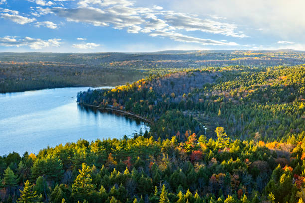 Fall forest and lake top view Fall forest and lake with colorful trees from above in Algonquin Park, Canada boreal forest stock pictures, royalty-free photos & images