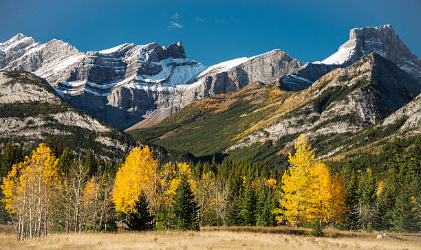 Fall in the Rockies stock photo