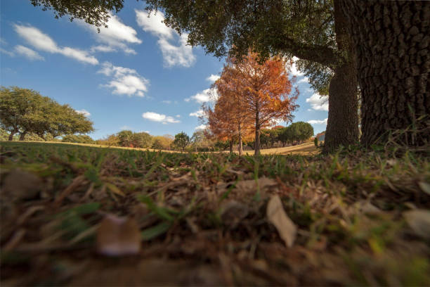 Fall Landscape stock photo