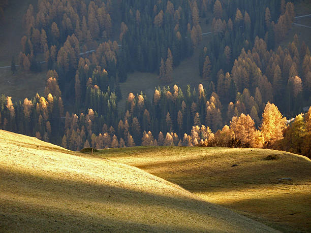 Fall Landscape with Rolling Hills stock photo