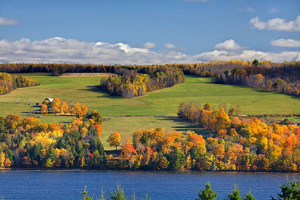 Fall Leaves and Green Fields on the St. John River stock photo