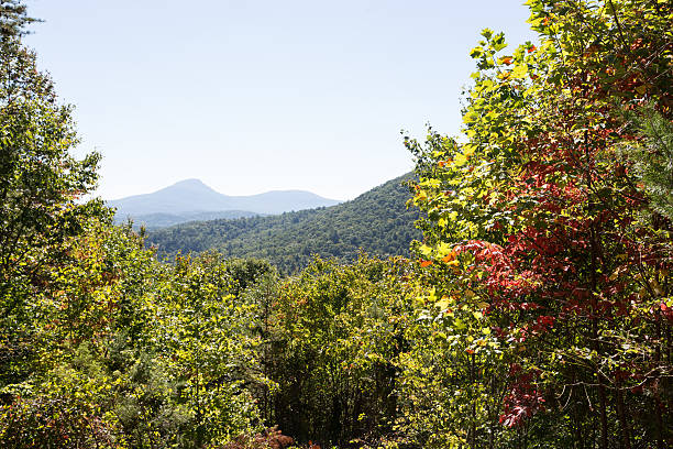Fall Mountain forest stock photo