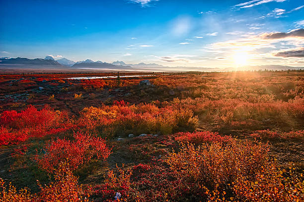 Fall sunrise over the Alaska Range stock photo