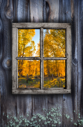 Fall Window Design Stock Photo - Download Image Now - iStock