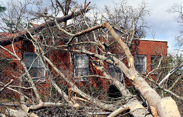 hurricane roof damage insurance claim