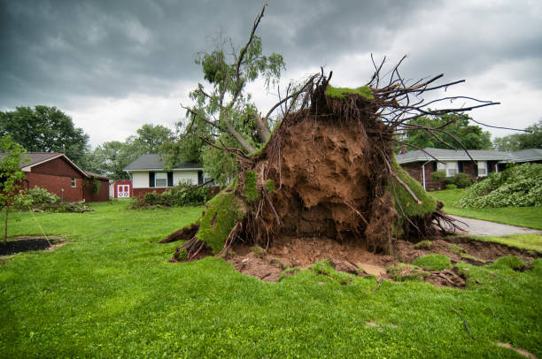 is hurricane damage covered by insurance