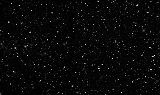 Falling snow isolated on black background. Nature Winter texture with motion real snowflakes in calm weather. Beautiful natural pattern of snow. Template for design, post-production