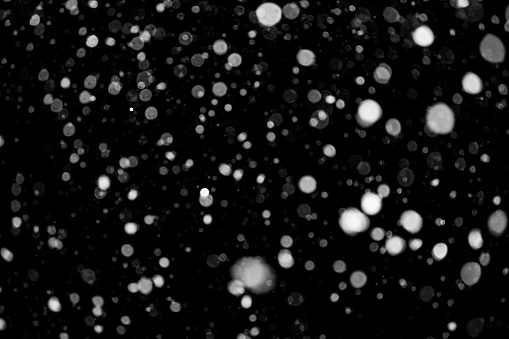 falling snowflakes on a black background. blurred particles