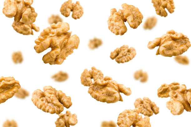 falling walnut, nut, isolated on white background, selective focus - nozes imagens e fotografias de stock