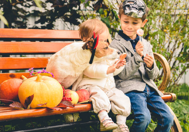 concepto de familia después de tratar o engañar con niños y caramelos de comer perros en el banco de otoño en el jardín - candy canes fotografías e imágenes de stock